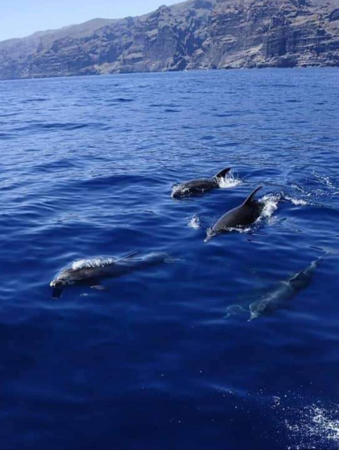 Appartement Apartamento Cerca De La Playa à Acantilado de los Gigantes Extérieur photo